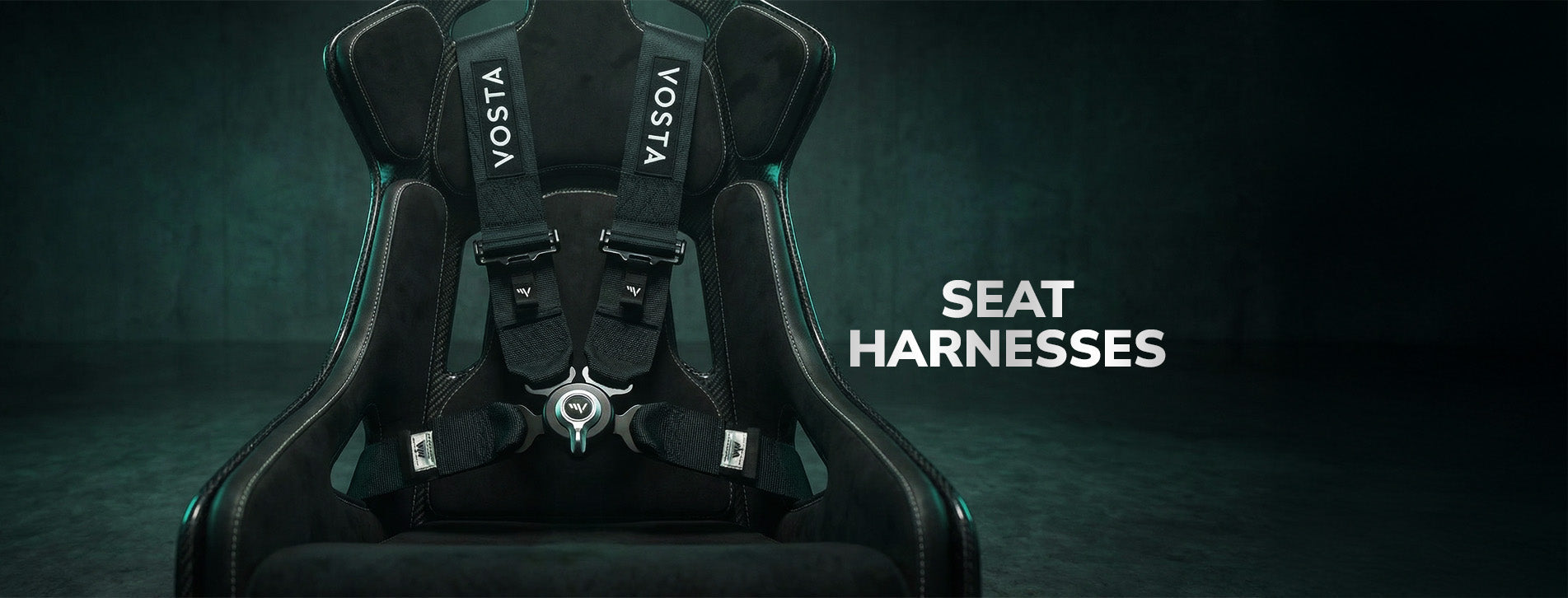 Seat Harnesses